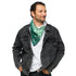 Gay Male Pride Waves Bandana